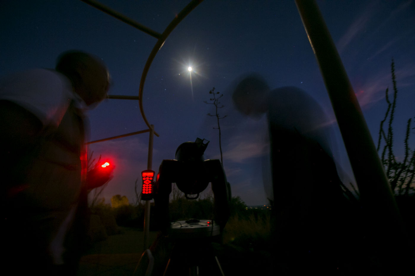 Cool Summer Nights at the Arizona-Sonora Desert Museum